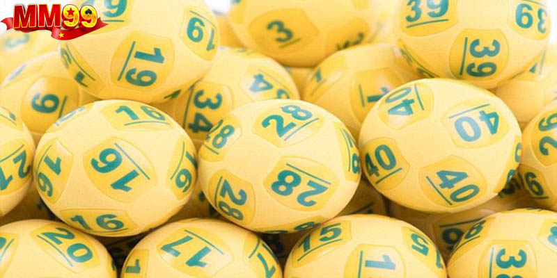 Cách bắt tổng đề hàng ngày