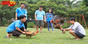 Đá gà cựa sắt